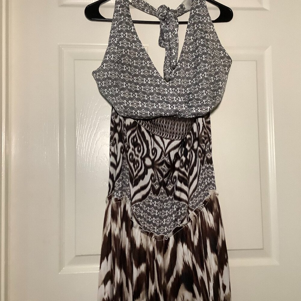 Eve Mendes zebra wild maxi dress